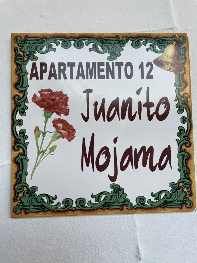 El Tablao Appartement *